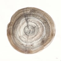 Counting the Years IV Framed Print