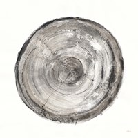 Counting the Years V Framed Print