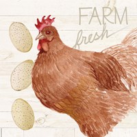 Life on the Farm Chicken II Fine Art Print