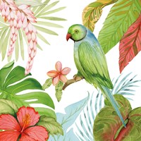 Treasures of the Tropics VII Fine Art Print