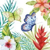 Treasures of the Tropics VI Fine Art Print