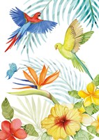 Treasures of the Tropics II Fine Art Print