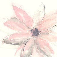 Blush Clematis I Fine Art Print