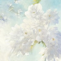 Pear Blossoms Bright Fine Art Print