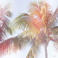 Dream Palm III Fine Art Print