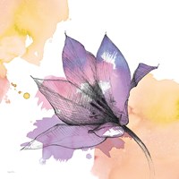 Watercolor Graphite Flower IX Fine Art Print