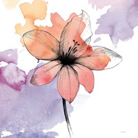 Watercolor Graphite Flower II Fine Art Print