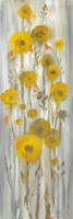 Roadside Flowers I Framed Print