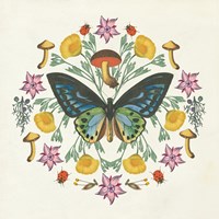 Butterfly Mandala IV Fine Art Print