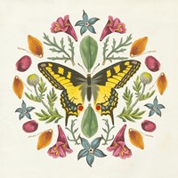 Butterfly Mandala III Fine Art Print