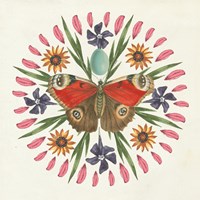 Butterfly Mandala II Fine Art Print
