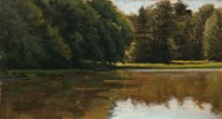Summer Light - White Pine Rd Pond Fine Art Print