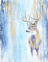 Winter Buck Fine Art Print