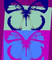 Pop Morphosis Fine Art Print