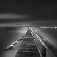 Options BW Fine Art Print