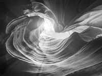 Abrazo 1 BW Fine Art Print