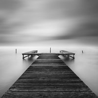 Bipolar Fine Art Print