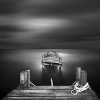 Jump 2 Fine Art Print