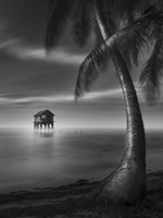 My Paradise Fine Art Print