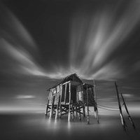 New Begining Fine Art Print