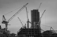 New York Cranes Fine Art Print