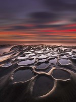 New World Vertical Fine Art Print