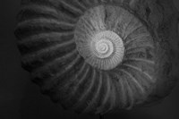 Small infinity Fine Art Print