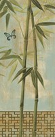 Bamboo I Fine Art Print