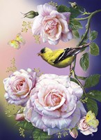 Morning song Fine Art Print