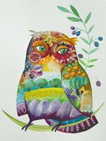 Owl From Provence Fine Art Print