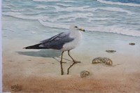 1 Seagull Fine Art Print