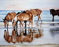 Horses On Beach Fine Art Print