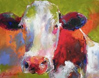 Cow Fine Art Print