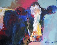 B Cow Fine Art Print