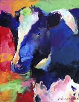 Cow 1 Fine Art Print
