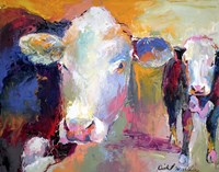 Cows Fine Art Print