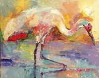 Crane Fine Art Print