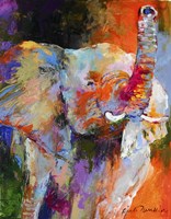 Elephant Fine Art Print
