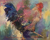 Rooster 2 Fine Art Print