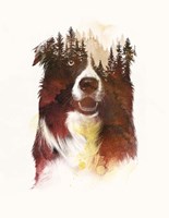 One Night In The Forest Fine Art Print