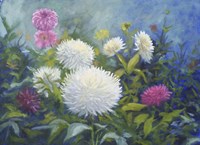 White & Pink Blooms Fine Art Print