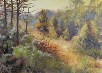 Autumn Glow Fine Art Print