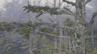 Forest Trees Fine Art Print