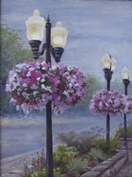 Hanging Baskets Fine Art Print