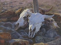 Where The Buffalo Used To Roam Fine Art Print