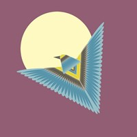 The Hawk Fine Art Print