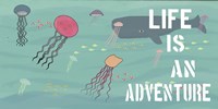 Life is an Adventure Fine Art Print