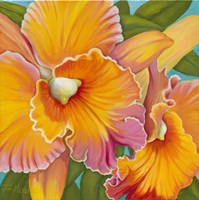 Orchid Series 2 Fine Art Print