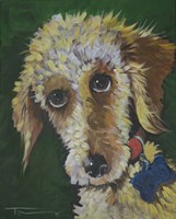 Fuzzy Dog Fine Art Print