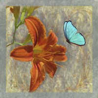 Afternoon In Tuscany Framed Print